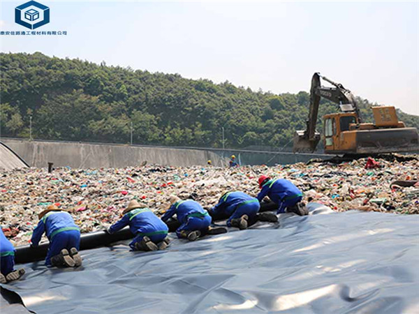 ���B����Ĥ���ڏV�|�������Ŀ