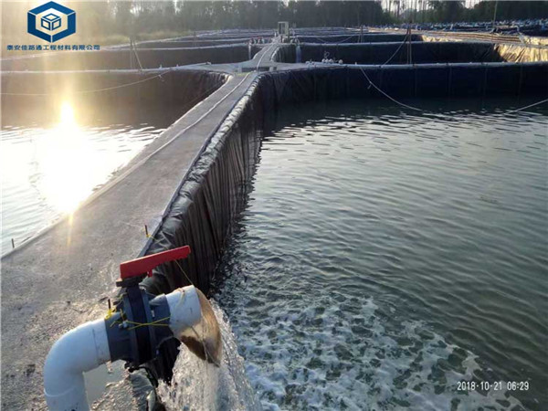 ����Ĥ���BĤ���ڽ���ˮ�a�Bֳ�Ŀ