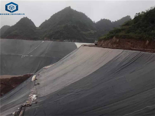 �����V���BĤ�����ڻ����V����