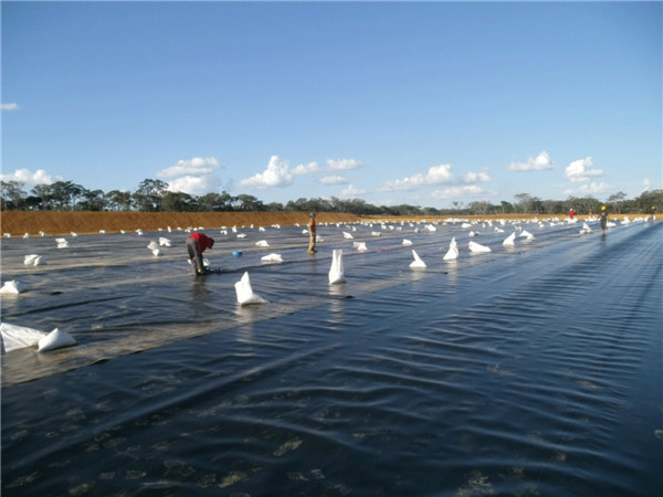 β�V������Ĥ���Ã��ɻ�������