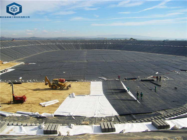 ������������B����Ĥ