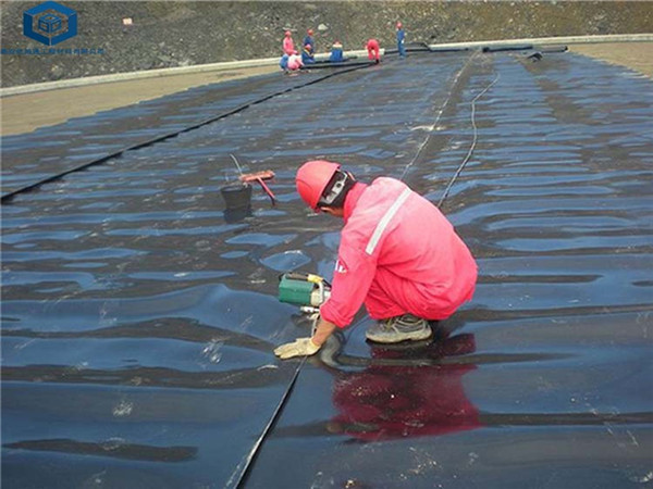 ������������B����Ĥ