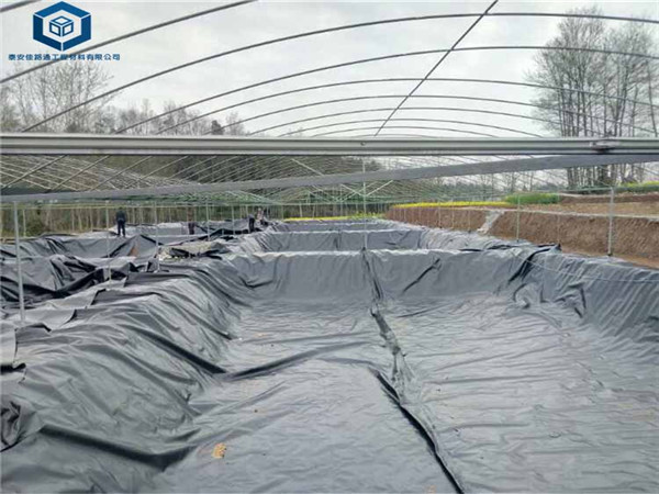 �r������Ĥ