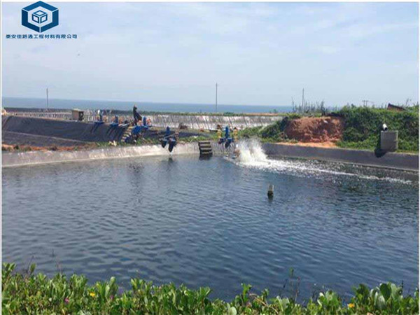 �Bֳ����Ĥ��O