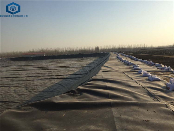 �Bֳ����Ĥ���õ����Bֳ������