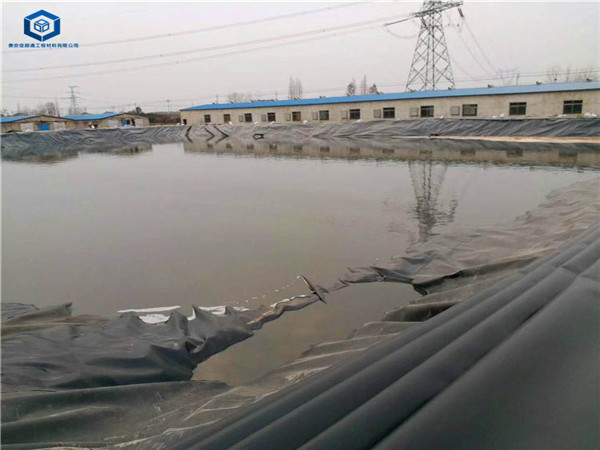 �����ط��BĤ