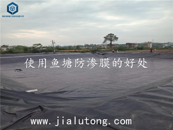 �~�����BĤ�S��